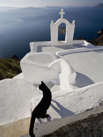 View Of A Cat On A Wall In The Village Of Oia Perched On Steep Cliffs Overlooking The Submerged Cal by Ron Watts Pricing Limited Edition Print image