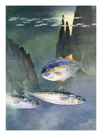 A Variety Of Fishes Native To The Waters Of Western North America by National Geographic Society Pricing Limited Edition Print image