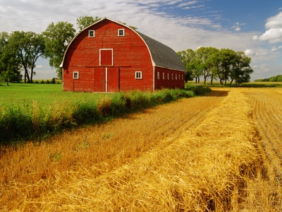 Barn, Myrtle, Manitoba by Dave Reede Pricing Limited Edition Print image