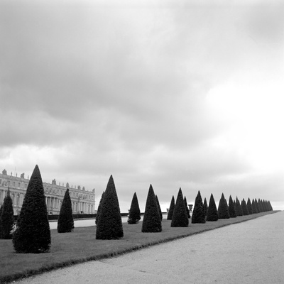 Row Of Bushes In Paris, France by Alan Shortall Pricing Limited Edition Print image