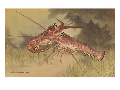 Painting Of Two Dueling Crayfish. by National Geographic Society Pricing Limited Edition Print image