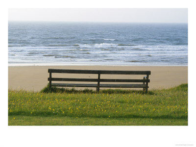 Bench Overlooking The Sea, Sutherland by Iain Sarjeant Pricing Limited Edition Print image