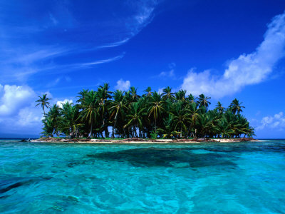 Coconut Palm Trees On Key In San Blas Islands, Panama by Alfredo Maiquez Pricing Limited Edition Print image