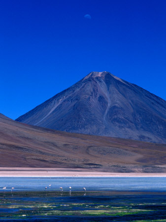 Flamingos Beneath Licancabur Volcano, Lake Blanca, Bolivia by Woods Wheatcroft Pricing Limited Edition Print image