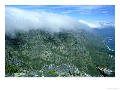 Cloud Formation Over Table Mountain With Rock Hyrax In Foreground, South Africa by William Gray Pricing Limited Edition Print image