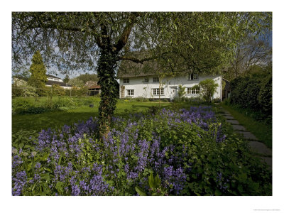 Old Cottage Garden At Snow Street, Near Diss by Bob Gibbons Pricing Limited Edition Print image