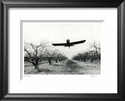 Untitled - Flying Plane by B. A. King Pricing Limited Edition Print image