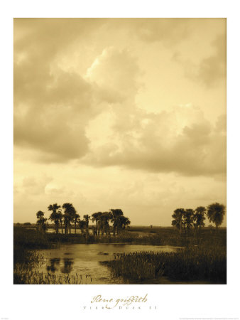 Viera Dusk Ii by Rene Griffith Pricing Limited Edition Print image
