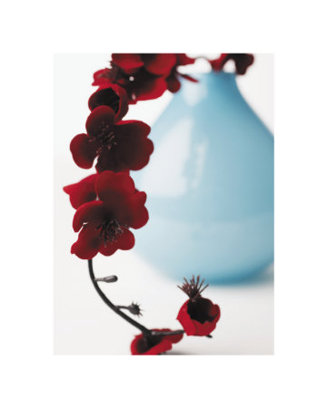 Japanese Quince Iii by Jack Hollingsworth Pricing Limited Edition Print image