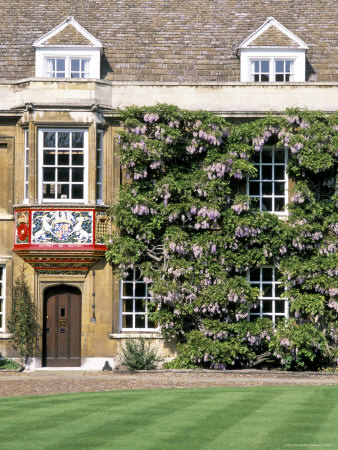 First Court, Christ's College, Founded By Lady Beaufort In 1505, Cambridge, Cambridgeshire, England by Brigitte Bott Pricing Limited Edition Print image