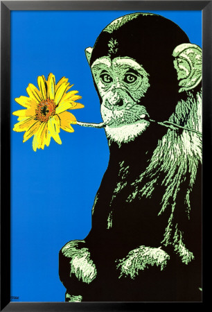 Monkey With Flower by Steez Pricing Limited Edition Print image
