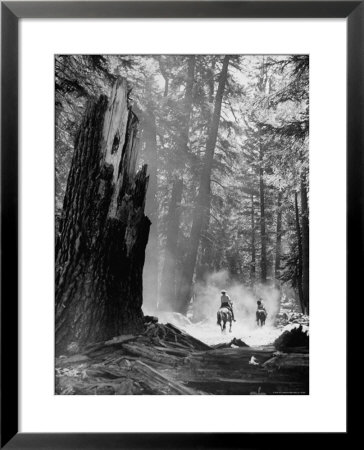 Family Riding Horseback Through Forest by Allan Grant Pricing Limited Edition Print image