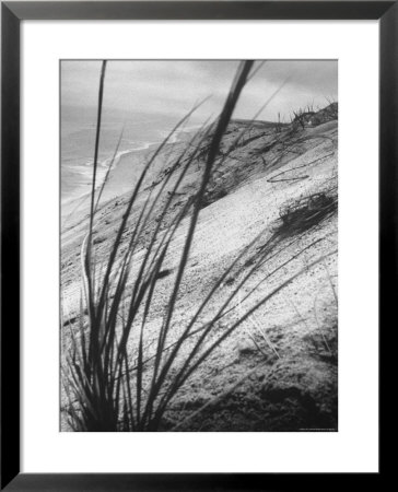 Dunes In The Cape Cod National Park by Ralph Morse Pricing Limited Edition Print image