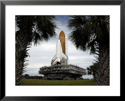 Palmetto Trees Frame Space Shuttle Endeavour As It Rolls Toward The Launch Pad by Stocktrek Images Pricing Limited Edition Print image