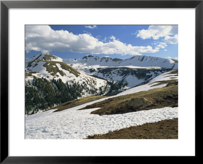 Independence Pass In The Sawatch Mountains, Part Of The Rockies, In Aspen, Colorado, Usa by Westwater Nedra Pricing Limited Edition Print image