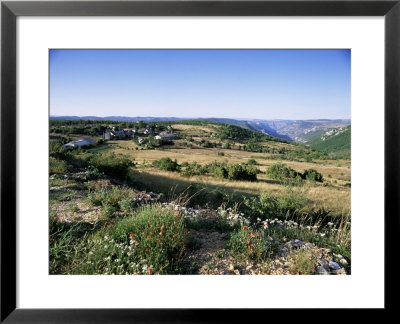 Landscape, Languedoc-Roussillon, France by David Hughes Pricing Limited Edition Print image