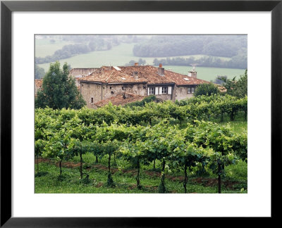 St. Lizier, Ariege, Midi-Pyrenees, France by David Hughes Pricing Limited Edition Print image