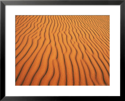 Patterns In Sand Dunes In Erg Chebbi Sand Sea, Sahara Desert, Near Merzouga, Morocco by Lee Frost Pricing Limited Edition Print image