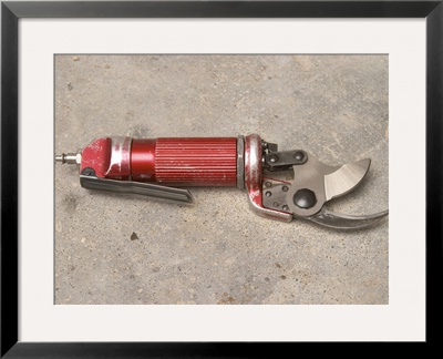 Pneumatic Compressed Air Driven Secateur Shears For Pruning Vines, Chateau Belingard, Bergerac by Per Karlsson Pricing Limited Edition Print image
