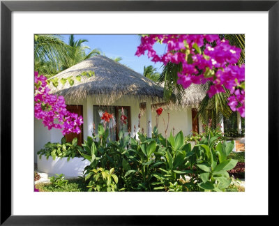 Hotel Accommodation, Baros, Maldive Islands, Indian Ocean by Robert Harding Pricing Limited Edition Print image
