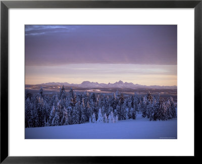 Sunset On Grand Tetons From Two Tops, West Yellowstone, Montana, Usa by Alison Wright Pricing Limited Edition Print image