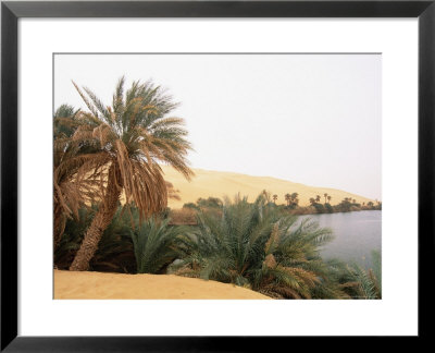 Palm Trees And Lake, Erg Ubari, Sahara Desert, Fezzan, Libya, North Africa, Africa by Sergio Pitamitz Pricing Limited Edition Print image