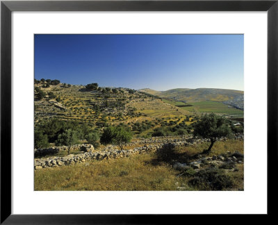 Shepherds Fields, Bethlehem, Israel by Jon Arnold Pricing Limited Edition Print image