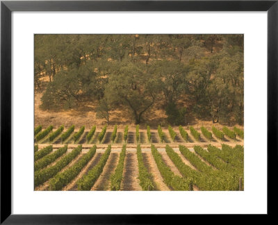 Joseph Phelps Winery And Vineyard, Deer Park, Napa Valley, California by Walter Bibikow Pricing Limited Edition Print image