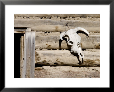 Cattle Skull On Cabin Near Salmon, Idaho, Usa by Chuck Haney Pricing Limited Edition Print image