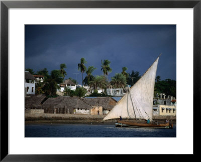 Traditional Dhow Sailing Past Town, Lamu, Coast, Kenya by Ariadne Van Zandbergen Pricing Limited Edition Print image