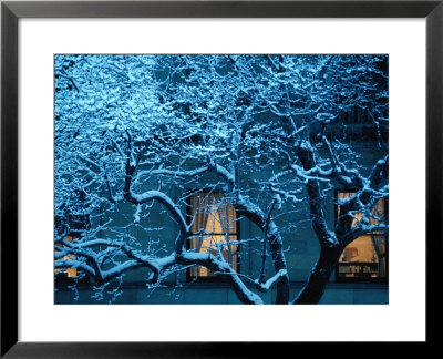 Buildings On Commonwealth Avenue In Back Bay Area, Boston, Massachusetts, Usa by Lou Jones Pricing Limited Edition Print image