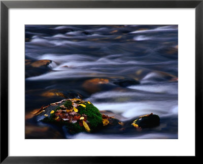 Stream And Mossy Rock Great Smoky Mountains National Park, Tennessee, Usa by Rob Blakers Pricing Limited Edition Print image