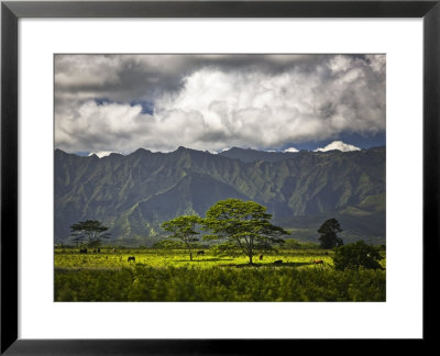 Peaceful Horse Range Setting On The Road To Wailua Falls, With Kauai Mountains In Background by Merten Snijders Pricing Limited Edition Print image