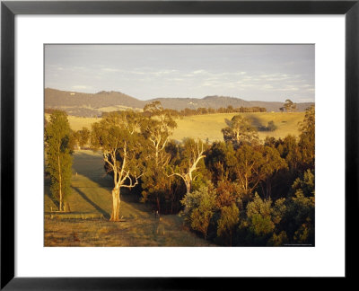 Aerial View Of Idyllic Farmland At Dawn Surrounded By Forest, Australia by Jason Edwards Pricing Limited Edition Print image