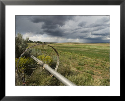 Farm Irrigation Sprinklers Next To A Hay Field In Western Clorado, Colorado by Bill Hatcher Pricing Limited Edition Print image