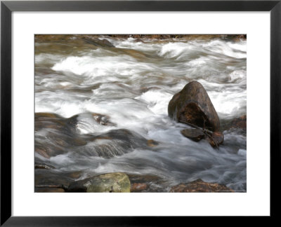 Whitewater Rushes Over Rocks In A River In Montana by Stacy Gold Pricing Limited Edition Print image