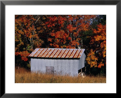 Autumn View Of An Old Tin Barn At The Edge Of The Woods by Raymond Gehman Pricing Limited Edition Print image
