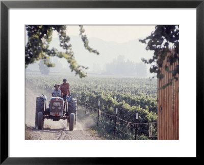 Workers On A Tractor At The Conchay Toro Vineyards, Chile by Bill Ray Pricing Limited Edition Print image