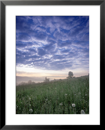 Tatra Mountains, Poland by Peter Adams Pricing Limited Edition Print image