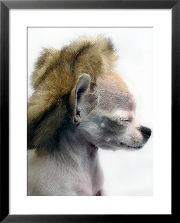 Faux Fur Hat by Traer Scott Pricing Limited Edition Print image