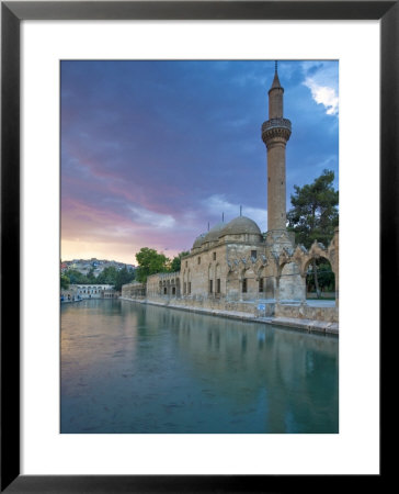 Pool Filled With Sacred Carp, Rizvaniye Vakfi Camil And Medressa, Balikli Gol, Golbasi, Turkey by Jane Sweeney Pricing Limited Edition Print image