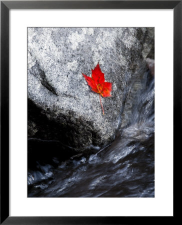 Screw Auger Falls, Grafton Notch State Park, Maine, Usa by Alan Copson Pricing Limited Edition Print image