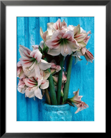 Painted Tomb With Fresh Amarillis, San Cristobel Verapaz, Guatemala by Jeffrey Becom Pricing Limited Edition Print image