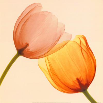 Lightness Ii by Val Andre Pricing Limited Edition Print image
