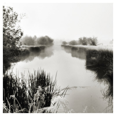 Foggy Deschutes River by Shane Settle Pricing Limited Edition Print image