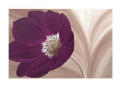 Velvet Anemone by Kate Lake Pricing Limited Edition Print image