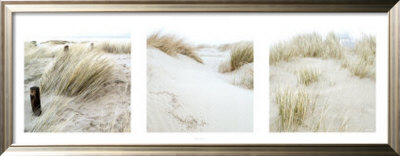 Dunes by Philippe Bourseiller Pricing Limited Edition Print image