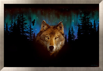 Northern Light Wolf by Peter Kull Pricing Limited Edition Print image
