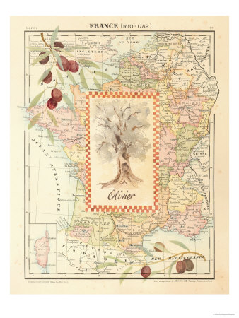 France by Olivia Bergman Pricing Limited Edition Print image