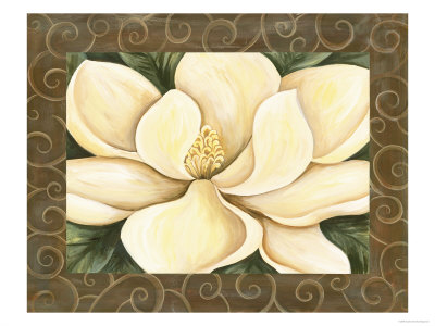 Magnolia Dream by Sophia Davidson Pricing Limited Edition Print image
